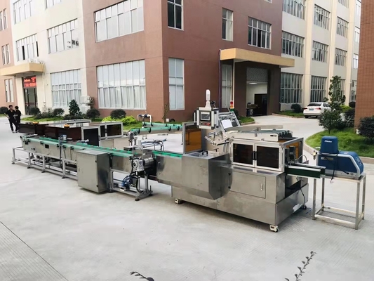 Automatisches Kasten-Karton-Verpackungsmaschine-Snack-Food-kleine Elektroindustrien